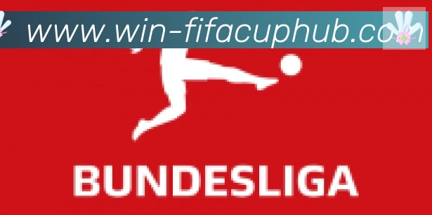 FIFA世界杯投注入口合作伙伴